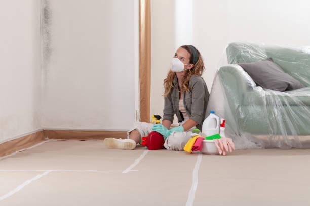 Reliable Mold Remediation contractor in Union City, TN by WQB Mold Removal